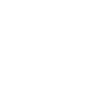 input-bg